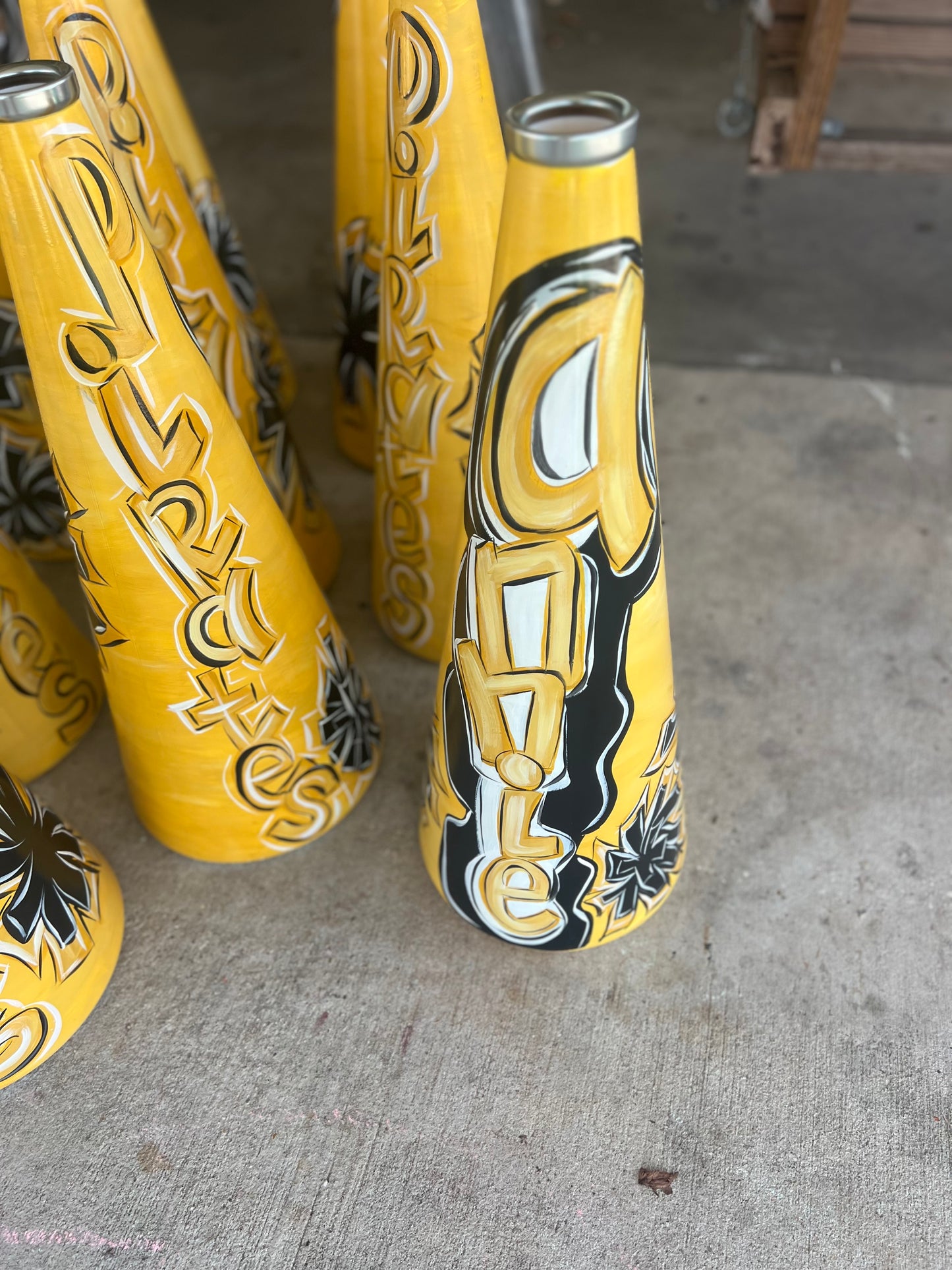 Hand Painted Megaphone